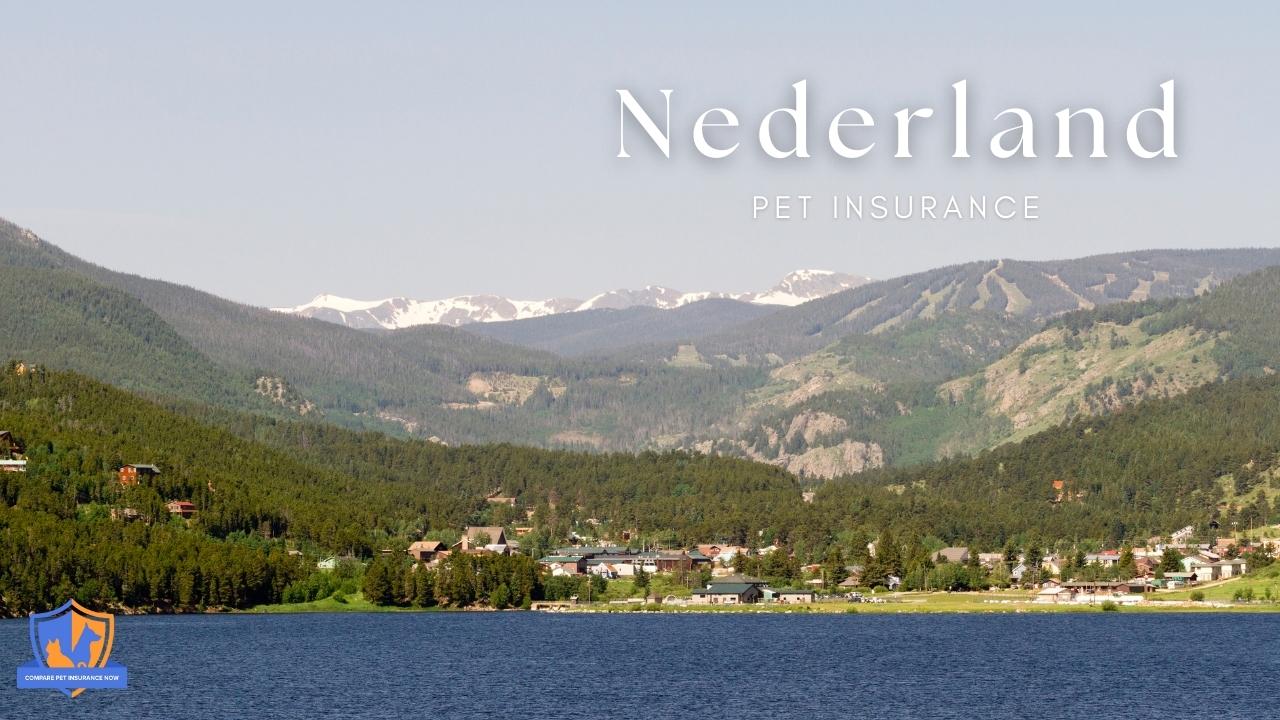 nederland pet insurance